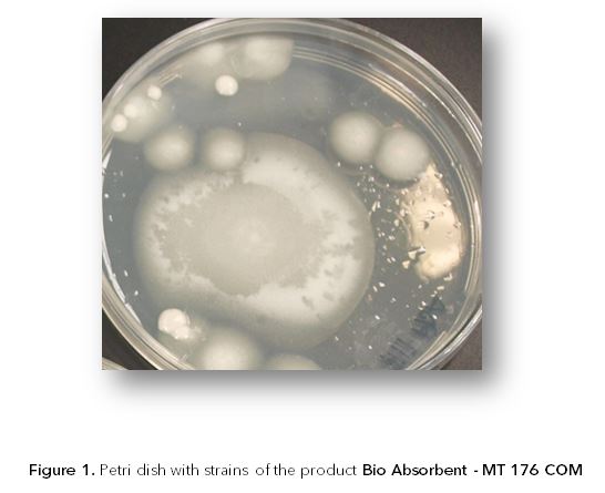 Petri dish Bio Absorbent